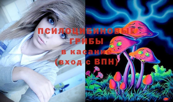 apvp Алексин