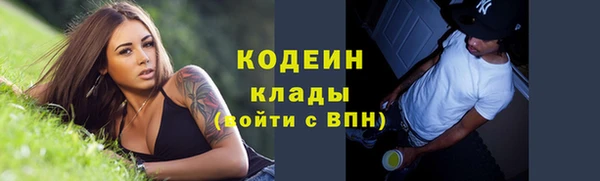 apvp Алексин