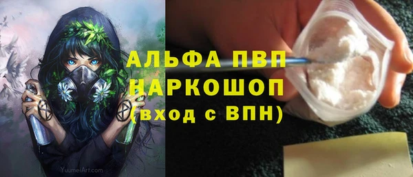 apvp Алексин