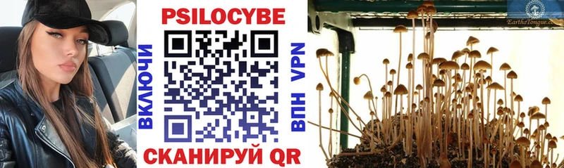 Псилоцибиновые грибы Cubensis  хочу наркоту  Суджа 